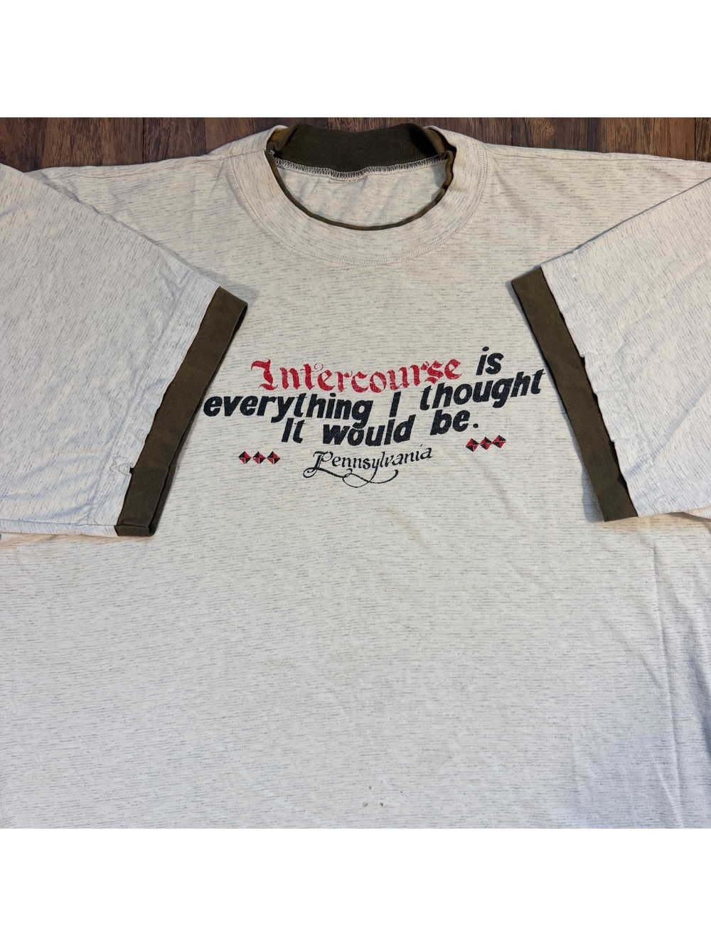 Vintage 90s Intercourse Pennsylvania Novelty T Shirt XL Humor Single Stitch